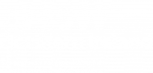 BASW Northern Ireland white logo