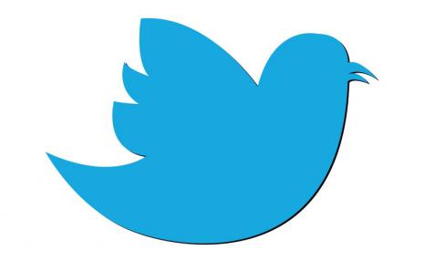 Twitter Bird